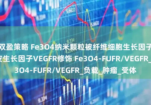 双盈策略 Fe3O4纳米颗粒被纤维细胞生长因子FUFR和血管内皮生长因子VEGFR修饰 Fe3O4-FUFR/VEGFR_负载_肿瘤_受体
