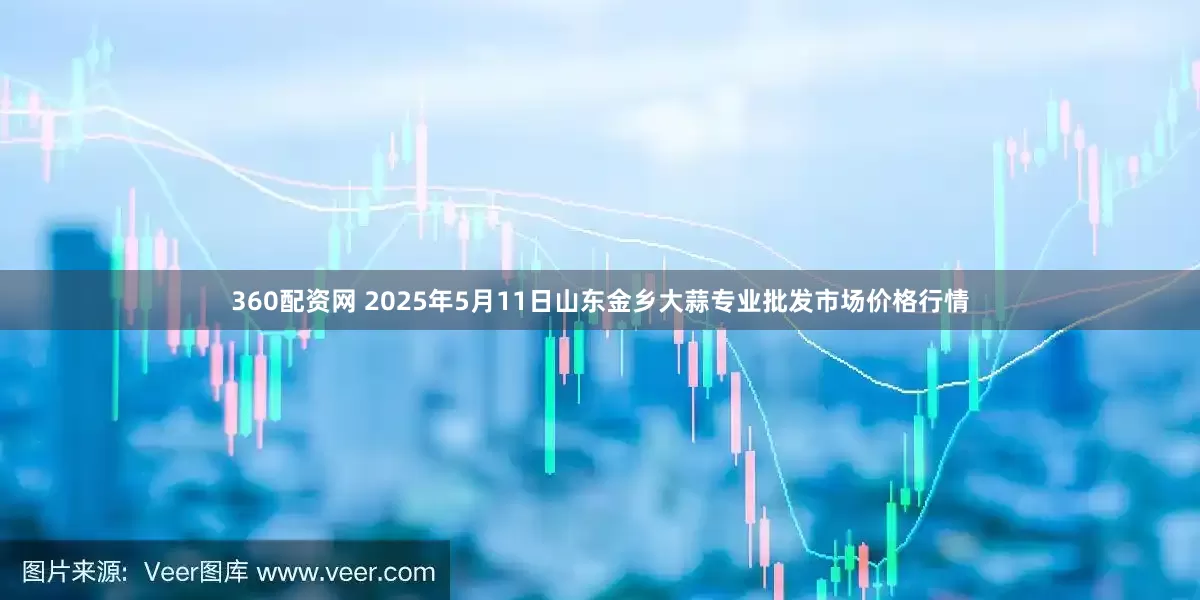 360配资网 2025年5月11日山东金乡大蒜专业批发市场价格行情