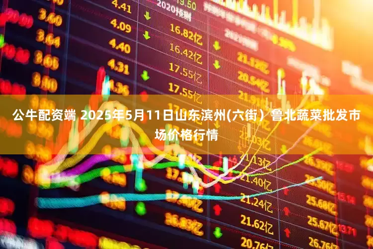 公牛配资端 2025年5月11日山东滨州(六街）鲁北蔬菜批发市场价格行情