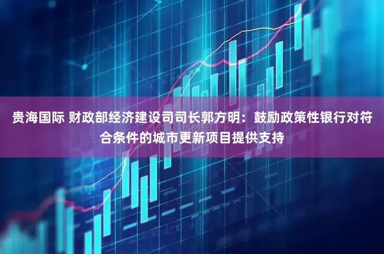 贵海国际 财政部经济建设司司长郭方明：鼓励政策性银行对符合条件的城市更新项目提供支持