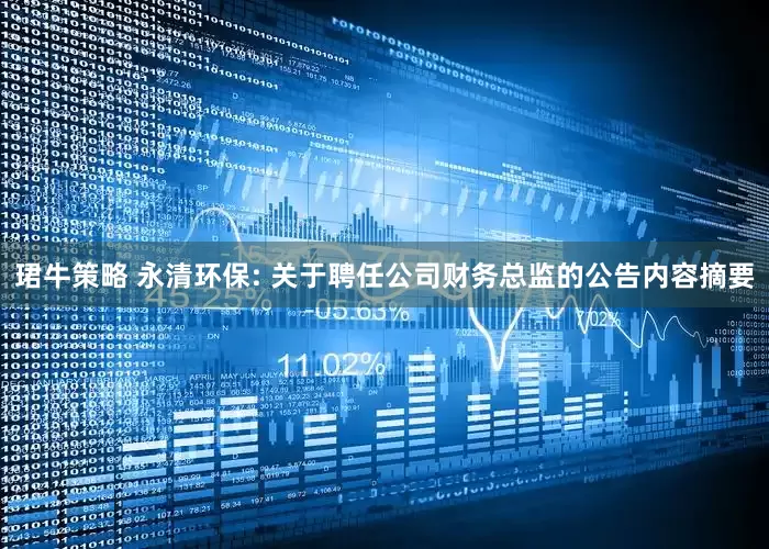 珺牛策略 永清环保: 关于聘任公司财务总监的公告内容摘要