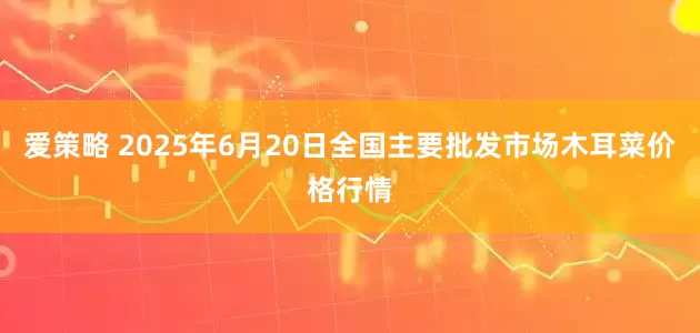 爱策略 2025年6月20日全国主要批发市场木耳菜价格行情