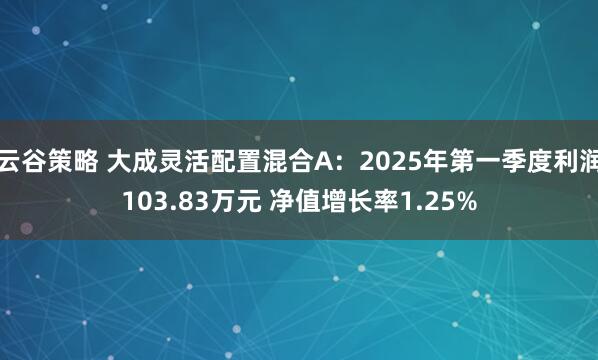 云谷策略 大成灵活配置混合A：2025年第一季度利润103.83万元 净值增长率1.25%