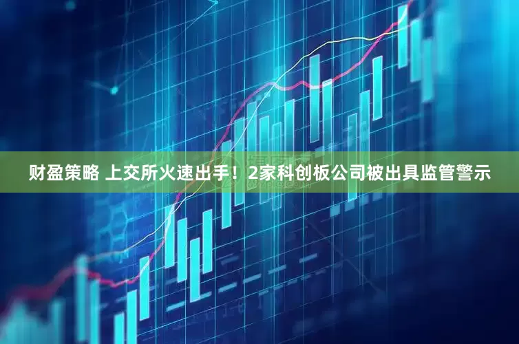 财盈策略 上交所火速出手！2家科创板公司被出具监管警示