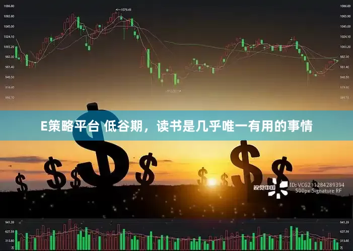 E策略平台 低谷期，读书是几乎唯一有用的事情