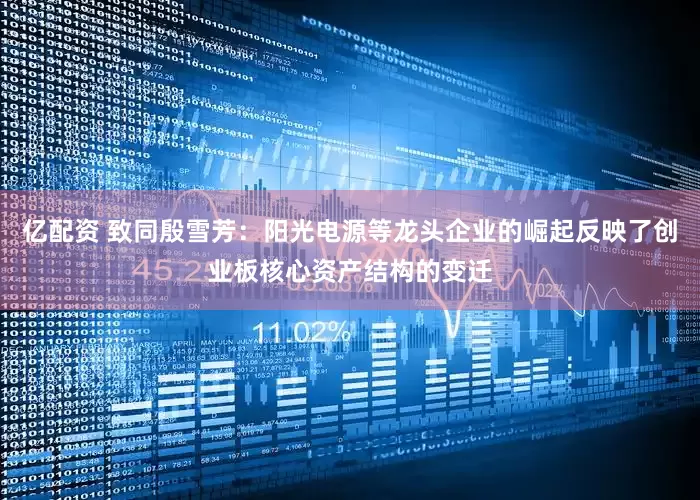 亿配资 致同殷雪芳：阳光电源等龙头企业的崛起反映了创业板核心资产结构的变迁